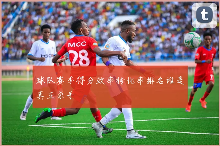 球队赛季得分效率转化率排名谁是真正杀手
