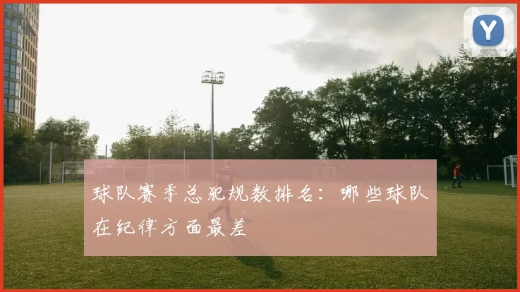 球队赛季总犯规数排名：哪些球队在纪律方面最差